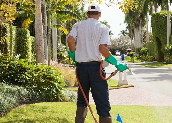 About Luzerne PA Pest Control